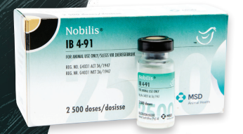 NOBILIS IB 4-91