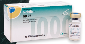 NOBILIS ND C2