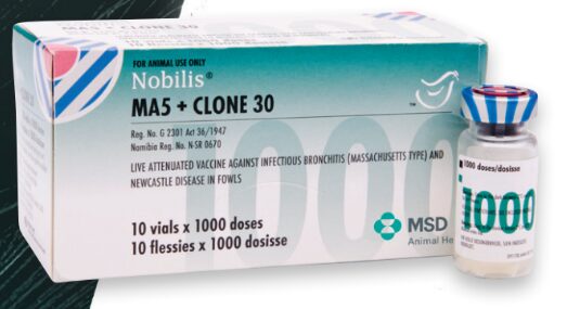 Nobilis Ma5 + Clone 30