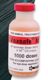 VAXSAFE MS VACCINE