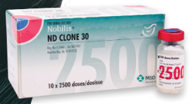 NOBILIS ND CLONE 30