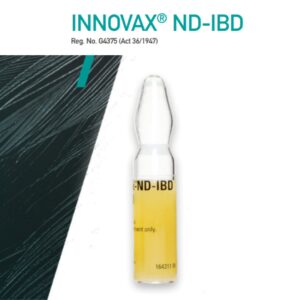 Innovax ND IBD